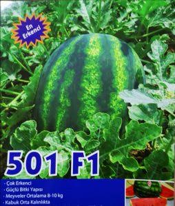 Aşılı 501 F1 Karpuz Fidesi